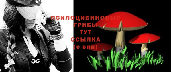 МДПВ Алзамай